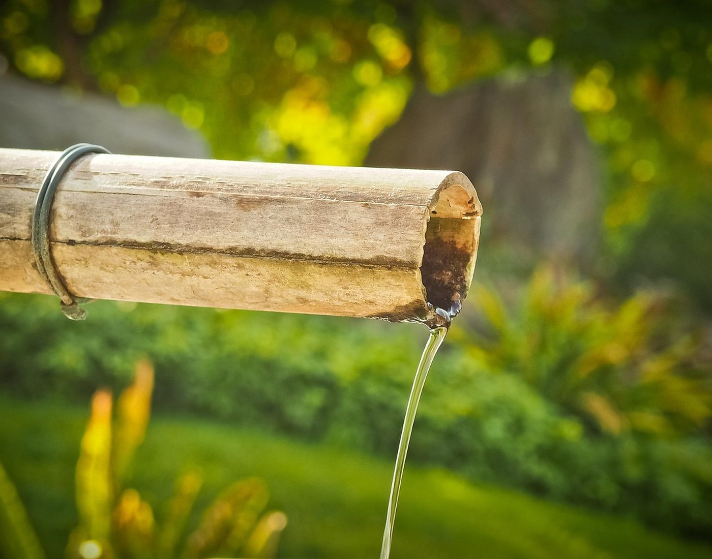 Fontaine en bambou dans un jardin zen